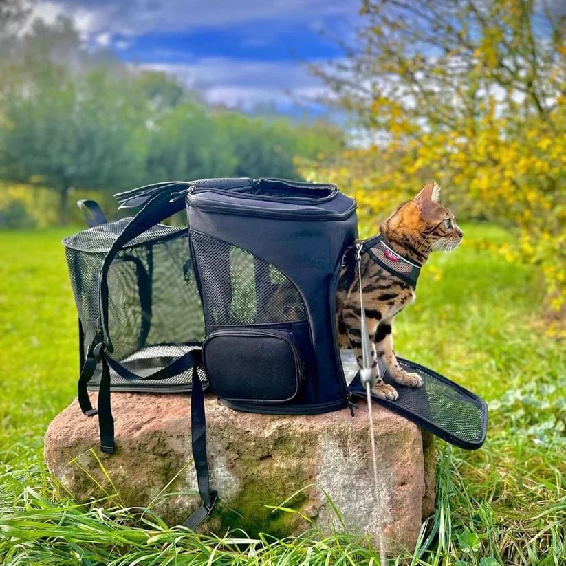 Cat Backpack with Viewing Window - Purrfect Travel Gear