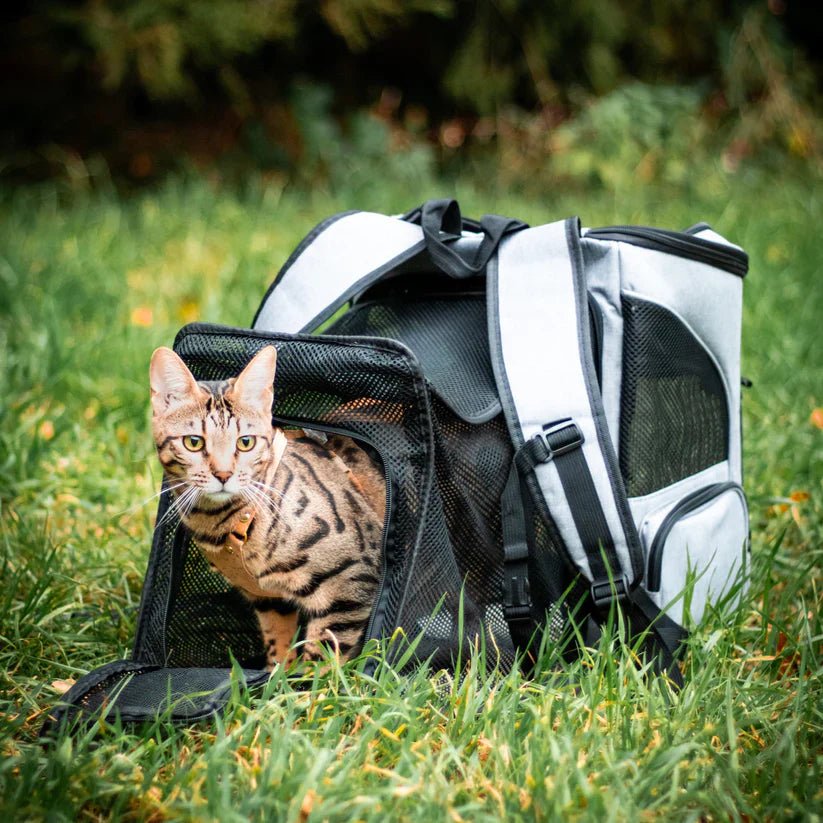 Cat Backpack with Viewing Window - Purrfect Travel Gear