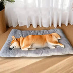 CozyNest Plush Bed - SNOOZEMINT for All-Season Comfort