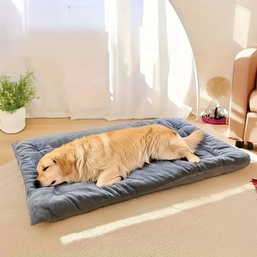 CozyNest Plush Bed - SNOOZEMINT for All-Season Comfort