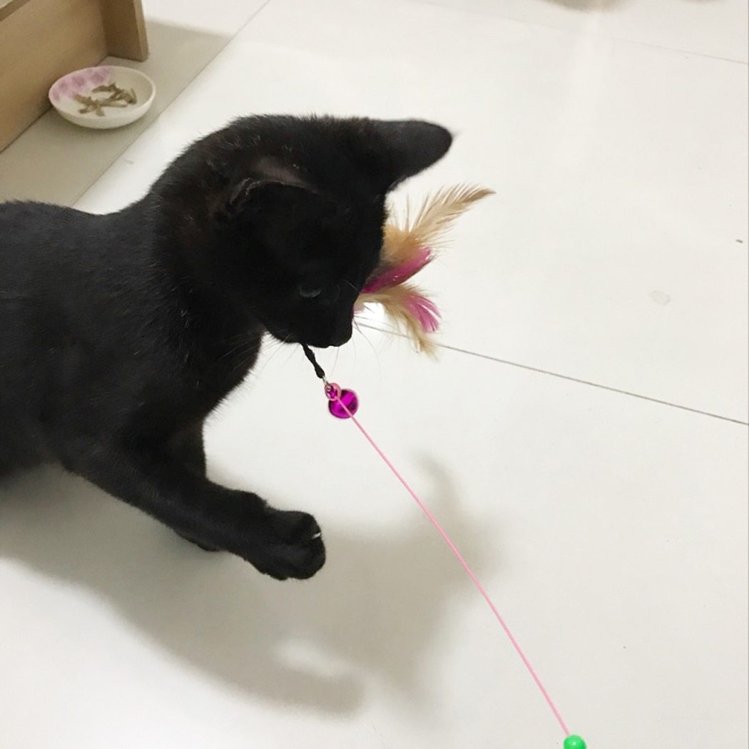 Interactive Cat Feather Wand - Purrfect Play