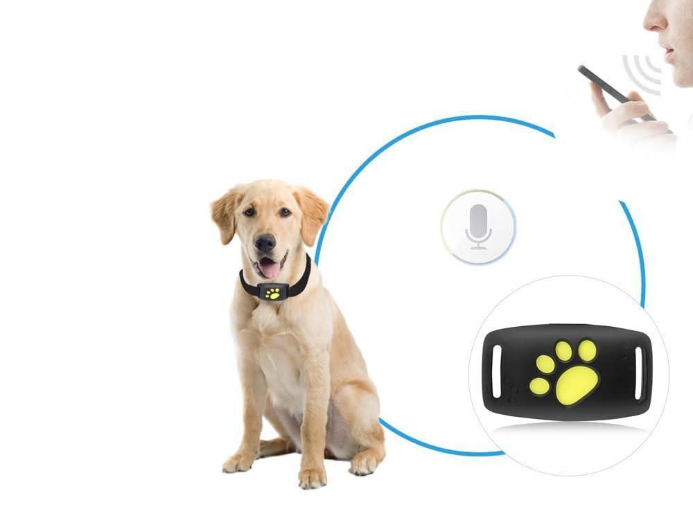 Cat Tracking Device - PurrSafe Guardian