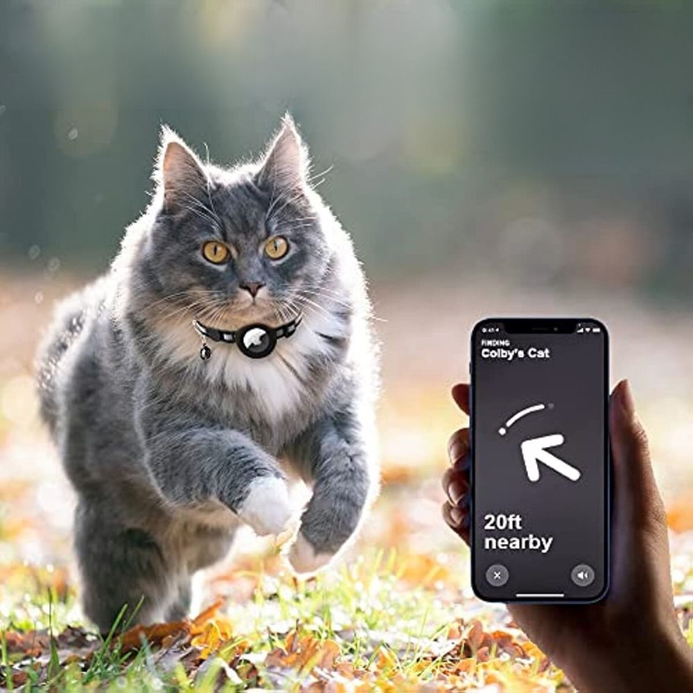 Cat GPS Tracker Collar - Pawsitive Adventures