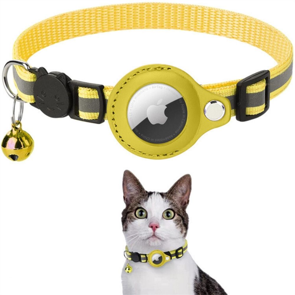 Cat GPS Tracker Collar - Pawsitive Adventures