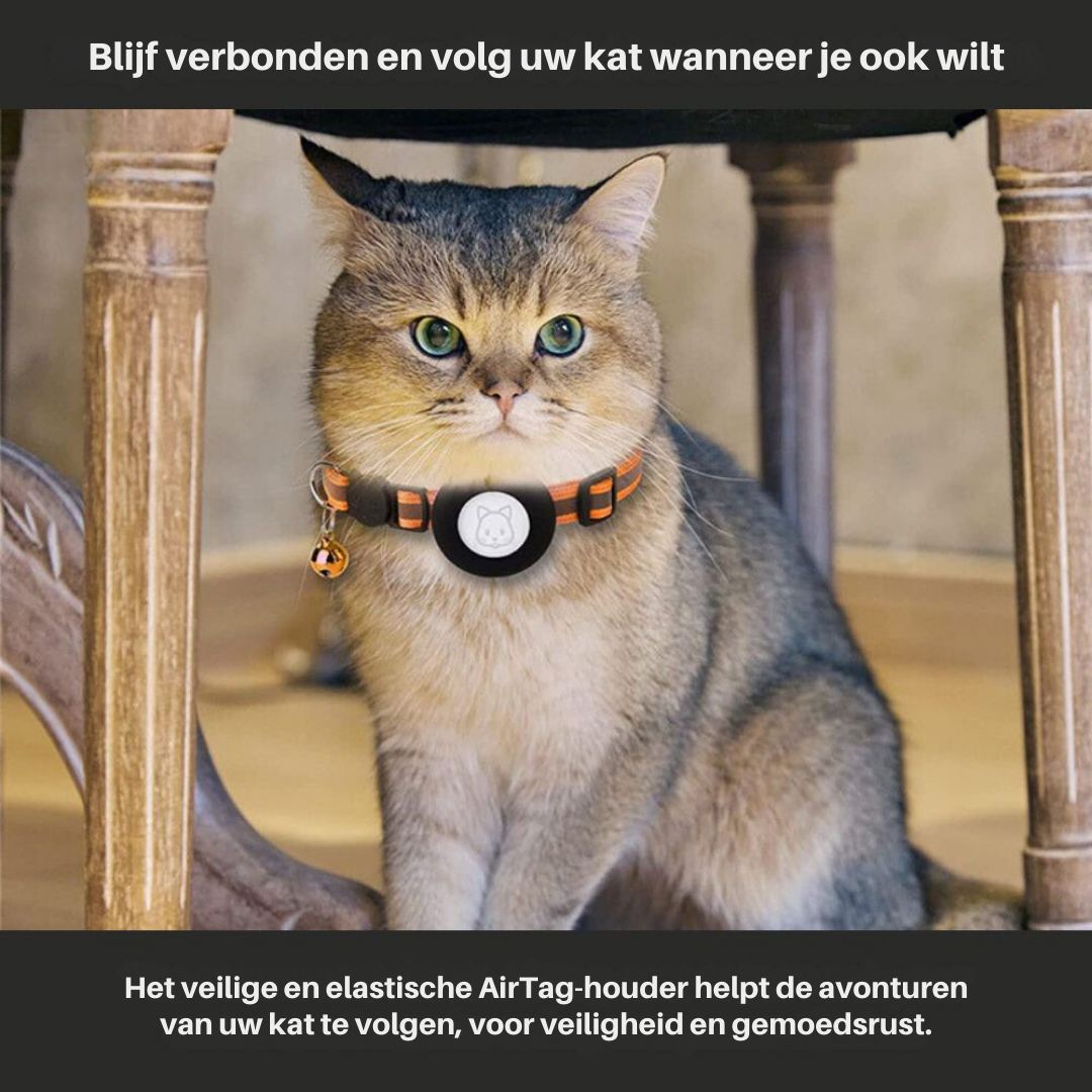 Cat GPS Tracker Collar - Pawsitive Adventures