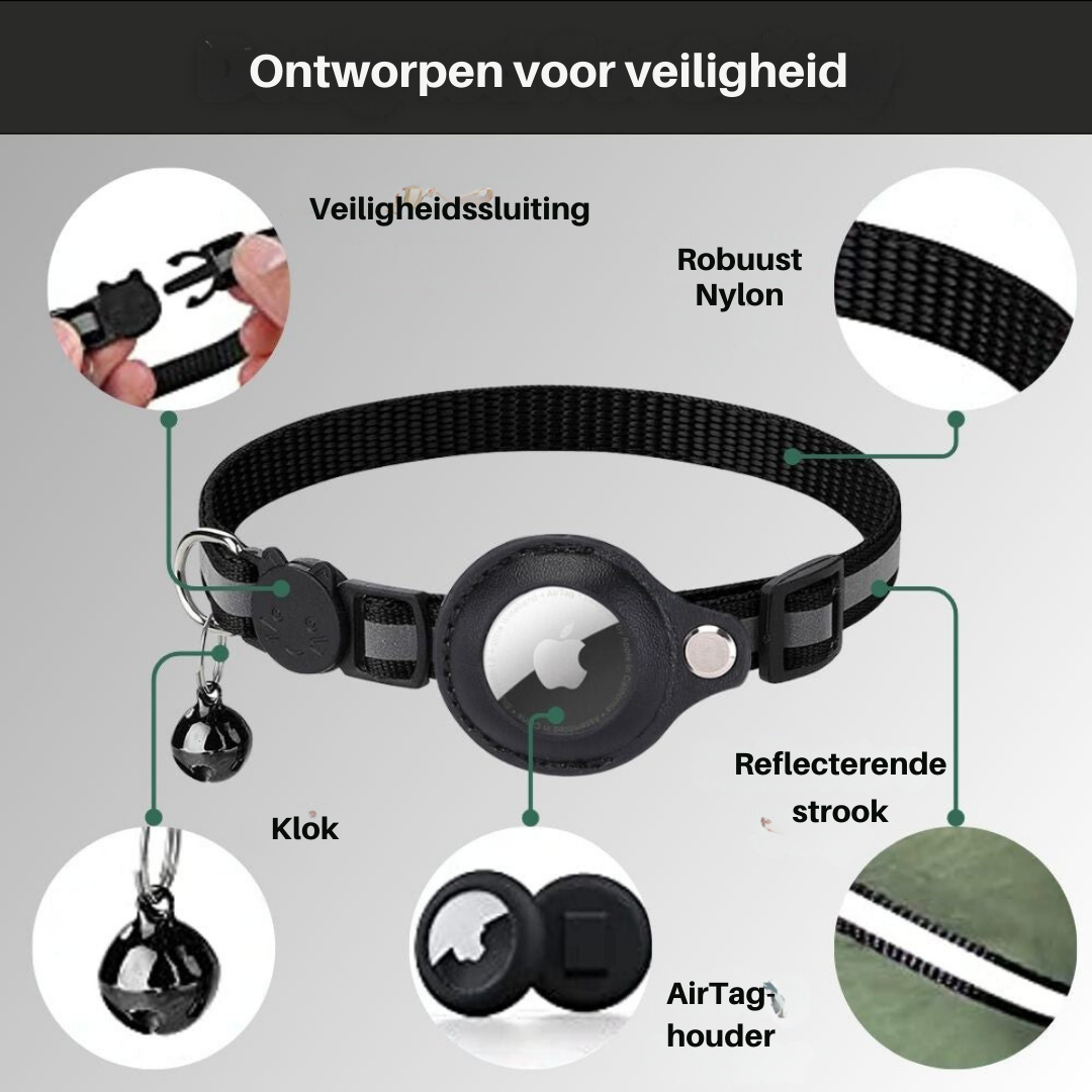 Cat GPS Tracker Collar - Pawsitive Adventures