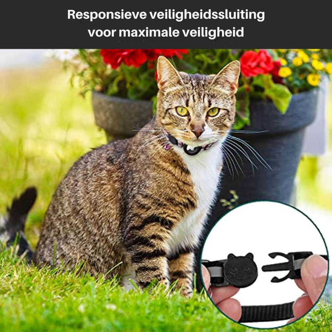 Cat GPS Tracker Collar - Pawsitive Adventures