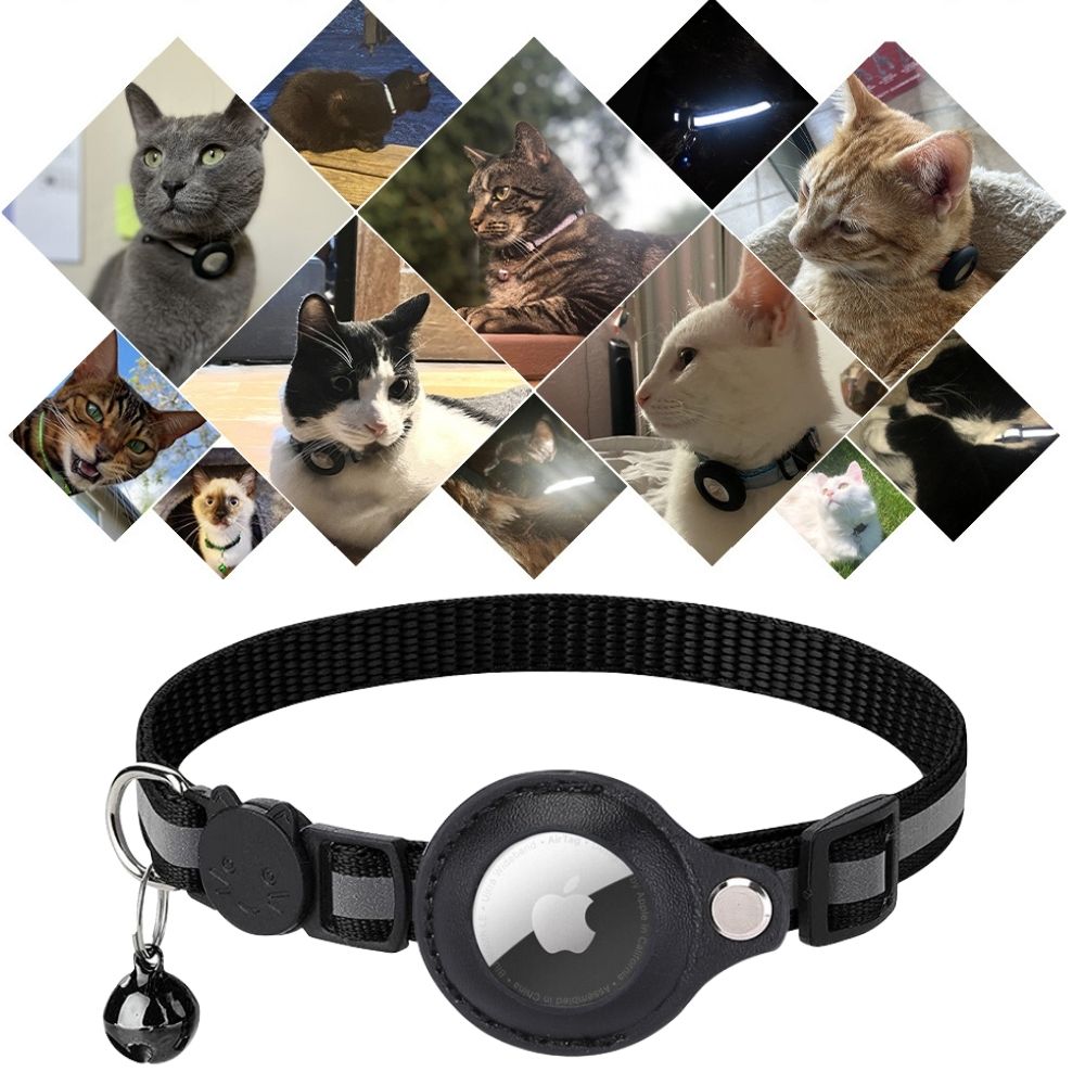 Cat GPS Tracker Collar - Pawsitive Adventures