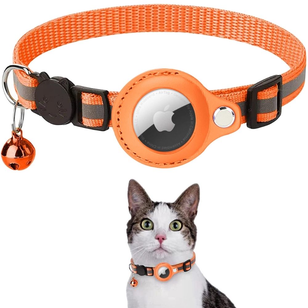 Cat GPS Tracker Collar - Pawsitive Adventures