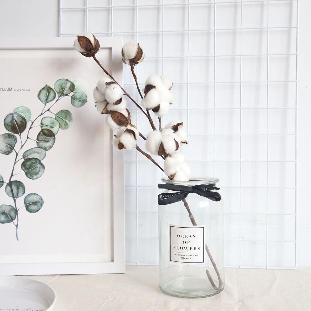 Cotton Branches - Purely Natural Decor