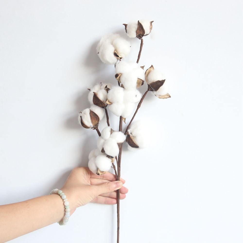 Cotton Branches - Purely Natural Decor