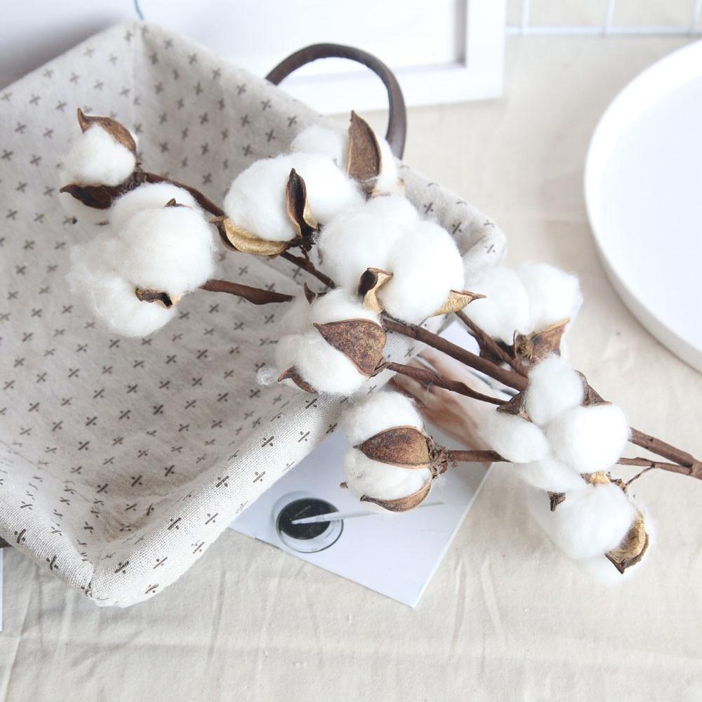 Cotton Branches - Purely Natural Decor