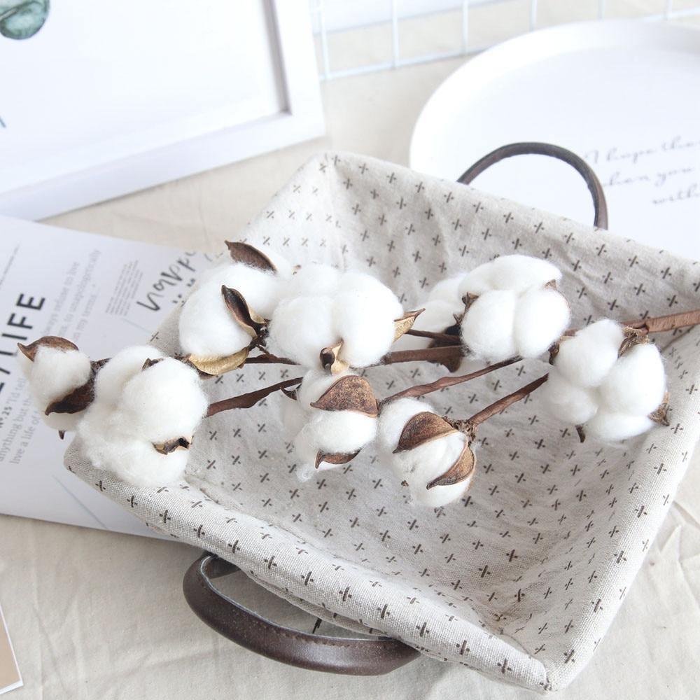 Cotton Branches - Purely Natural Decor
