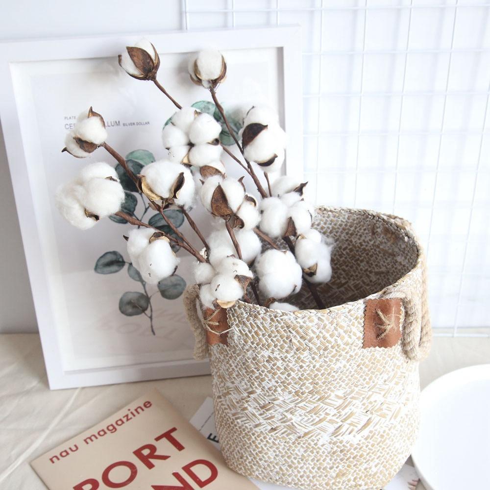 Cotton Branches - Purely Natural Decor