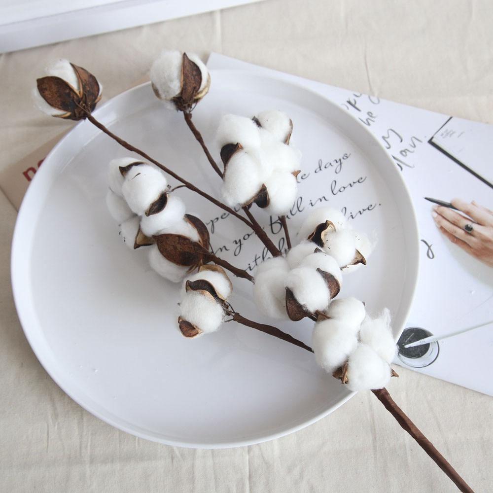 Cotton Branches - Purely Natural Decor