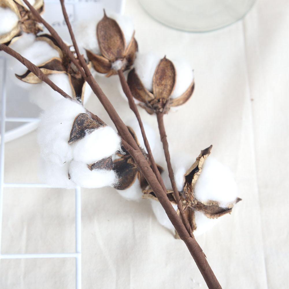 Cotton Branches - Purely Natural Decor