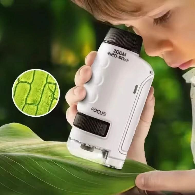 Curiosity Microscope - NatureQuest Explorers