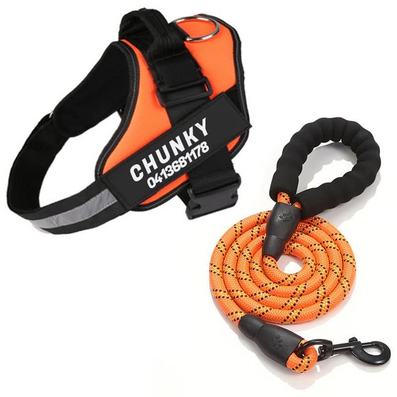 Safety Dog Harness - Pawsitive Gear with Reflective Tag