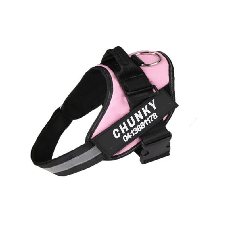 Safety Dog Harness - Pawsitive Gear with Reflective Tag