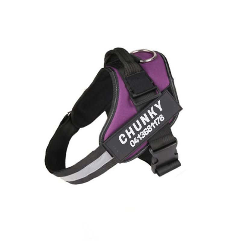Safety Dog Harness - Pawsitive Gear with Reflective Tag