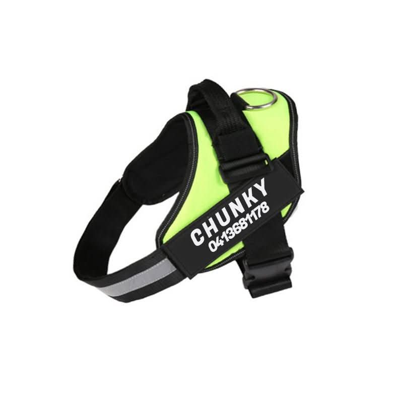 Safety Dog Harness - Pawsitive Gear with Reflective Tag