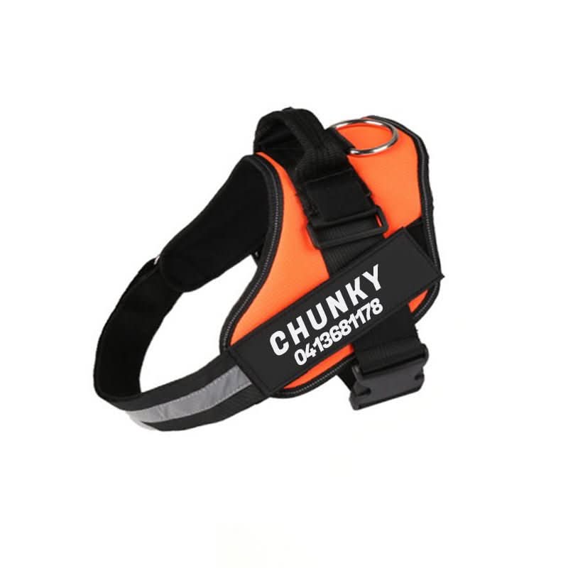 Safety Dog Harness - Pawsitive Gear with Reflective Tag