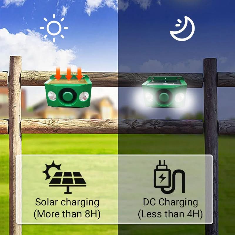 Predator Protection Solar Warning Lights - NightGuard Elite
