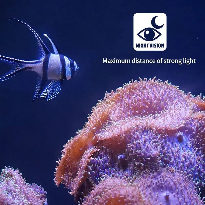 Underwater Camera 1080P – AquaVision Pro