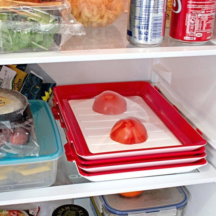 Airtight Food Storage Plate - FreshGuard