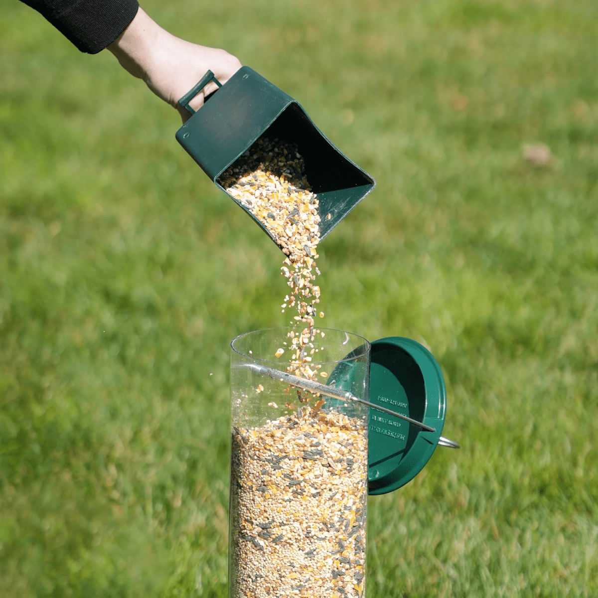 Squirrel-Proof Birdhouse - NatureNest