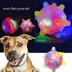 Interactive LED Jump Ball for Dogs - PetGlow