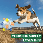 Interactive LED Jump Ball for Dogs - PetGlow