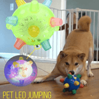 Interactive LED Jump Ball for Dogs - PetGlow
