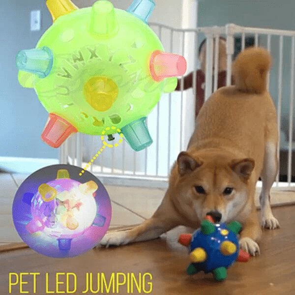 Interactive LED Jump Ball for Dogs - PetGlow