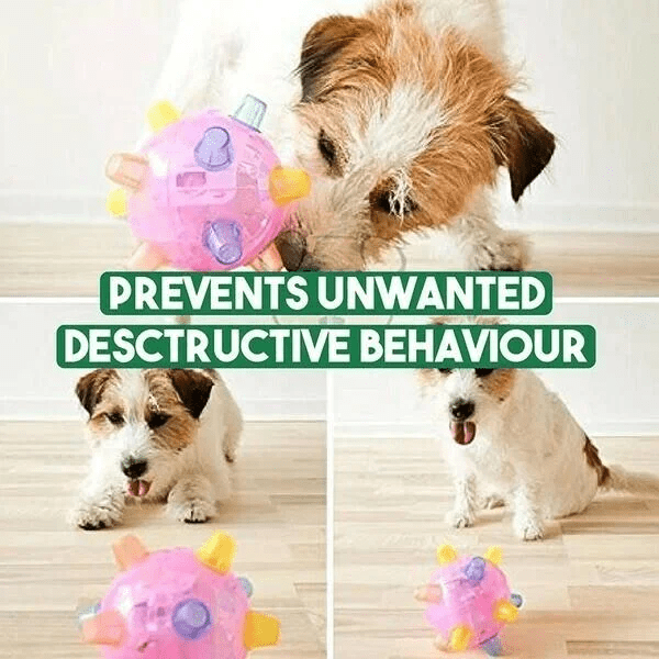 Interactive LED Jump Ball for Dogs - PetGlow