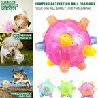 Interactive LED Jump Ball for Dogs - PetGlow