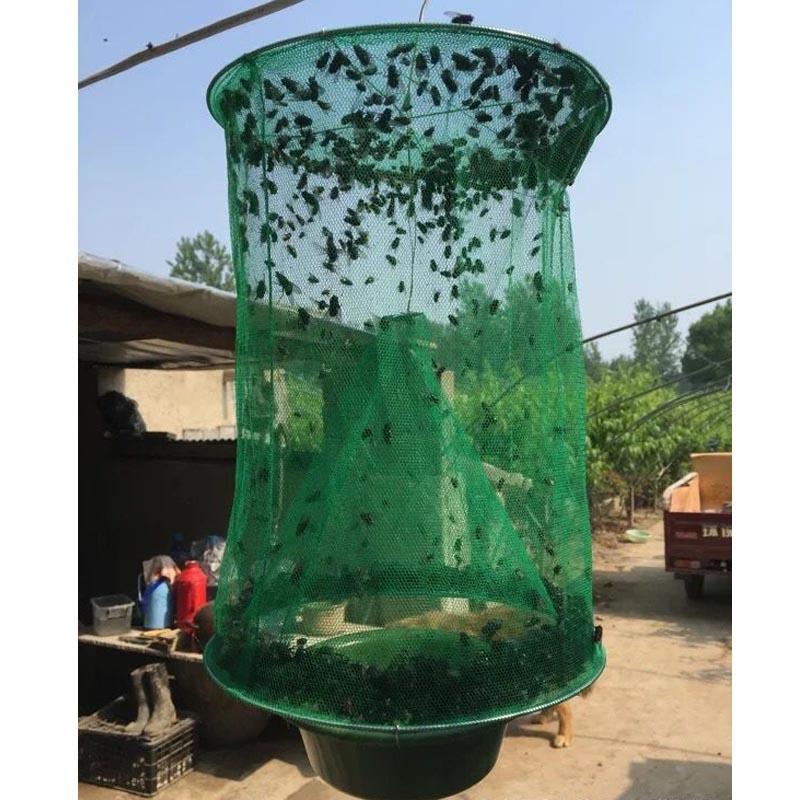 Pest Control Net - EcoGuard Solutions