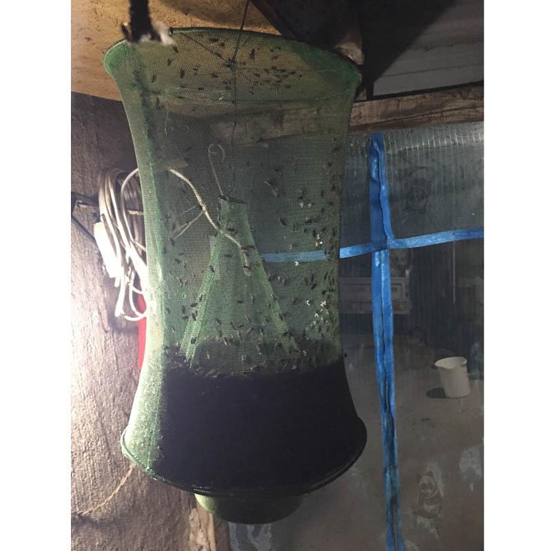 Pest Control Net - EcoGuard Solutions