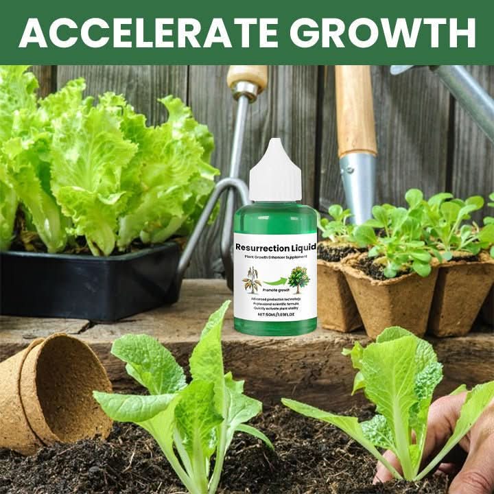 Root Booster Tonic - Verdant Essence for Strong Plant Growth