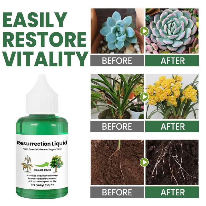 Root Booster Tonic - Verdant Essence for Strong Plant Growth