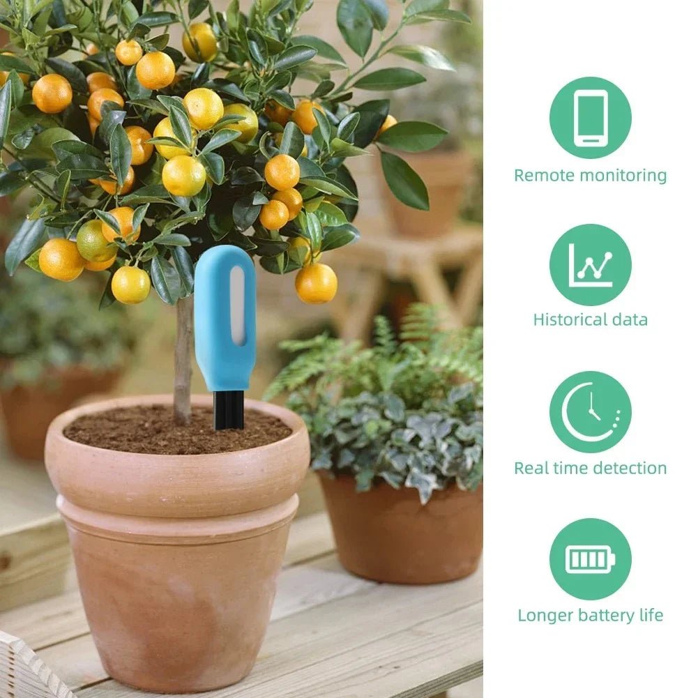 Soil Monitor - EcoSense Bluetooth Device with Real-Time Data