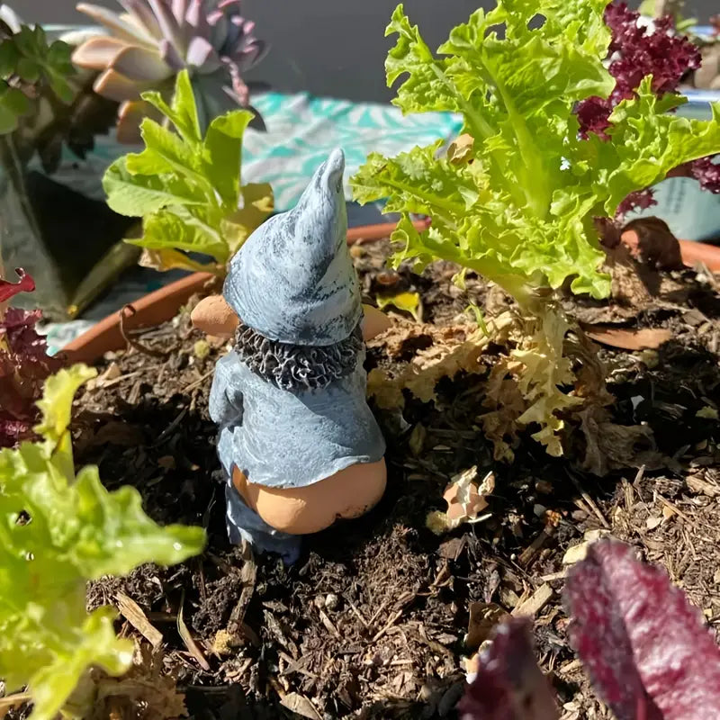 Gnome Garden Decor - Enchanted Haven