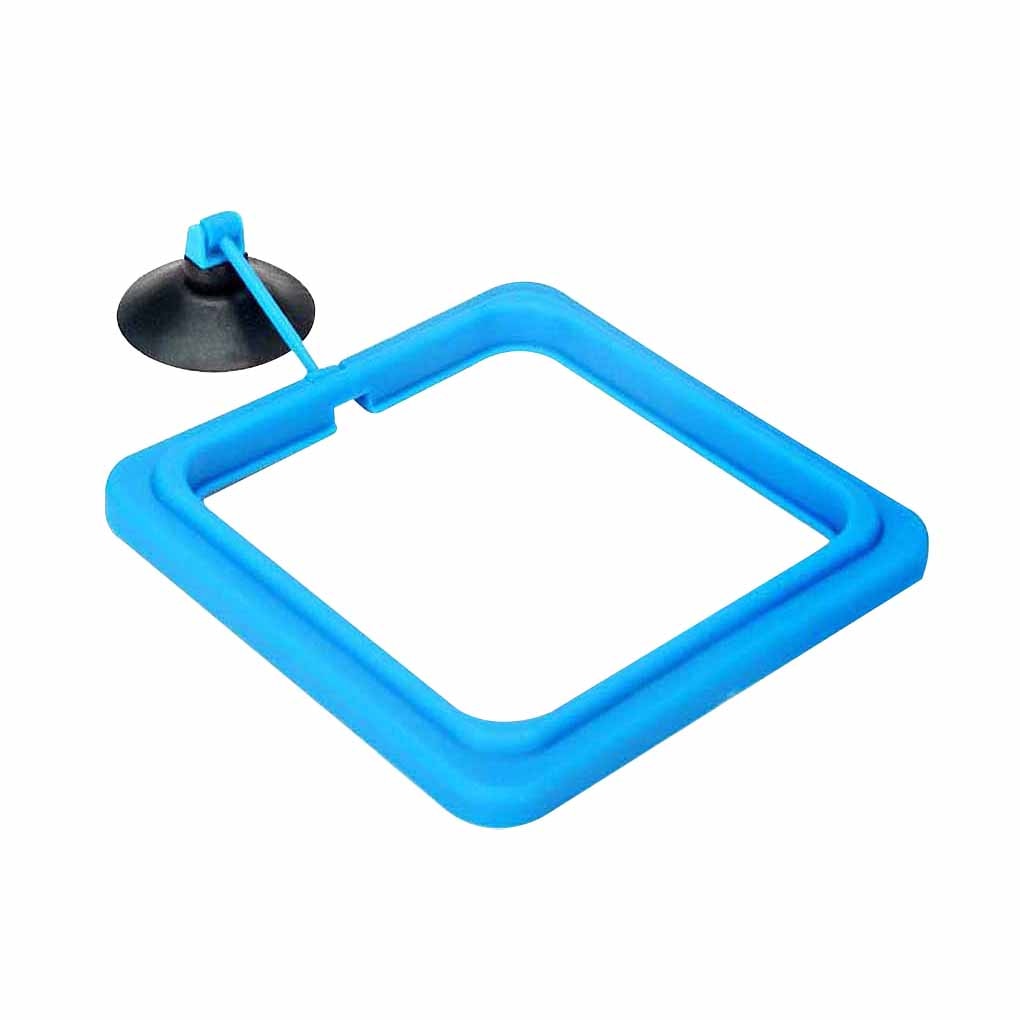 Feeding Ring for Aquariums - AquaLux Essentials