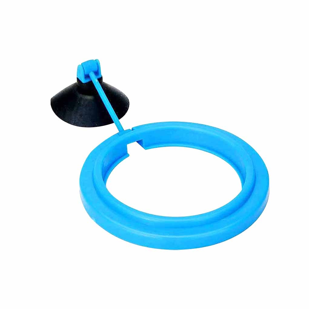 Feeding Ring for Aquariums - AquaLux Essentials