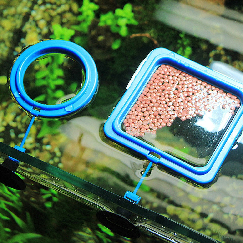 Feeding Ring for Aquariums - AquaLux Essentials