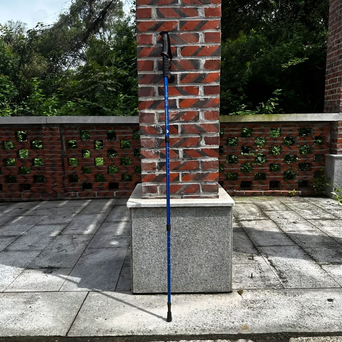 Trekking Poles - Elevate Gear Adjustable Aluminum Hiking Sticks