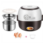 Steam Lunchbox - FreshBite