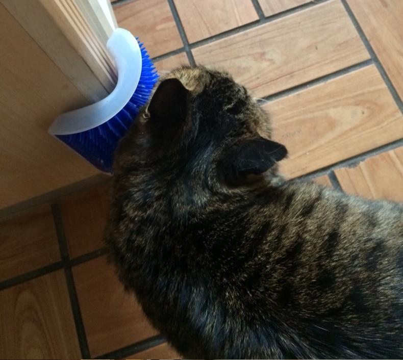 Self Grooming Cat Brush - Purrfect Care