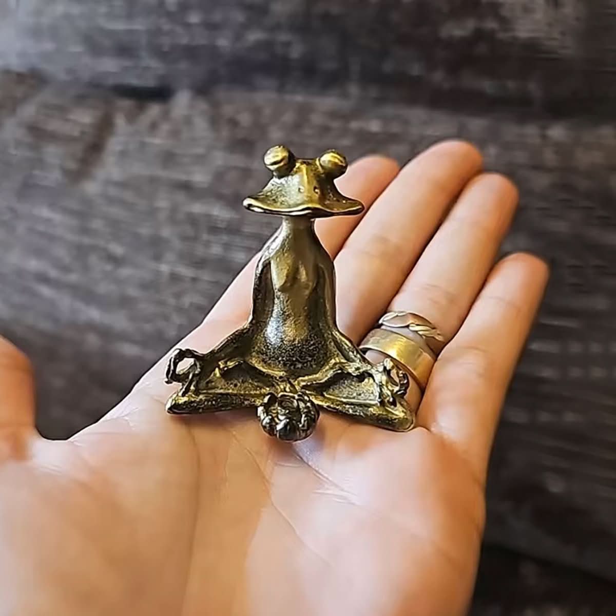 AuraFrog Incense Holder - ZenCrafted Artisan Decor