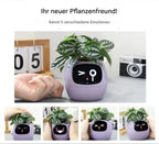 Smart Self-Watering Flower Pot - EcoBloom Pottery